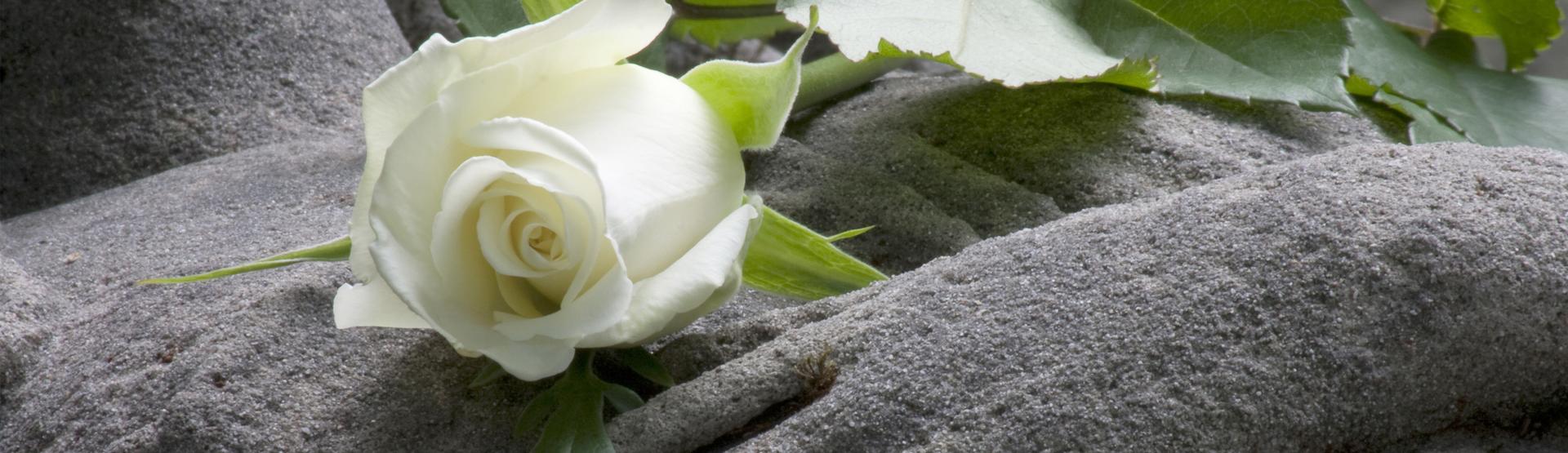 Bruning_Startseite_header